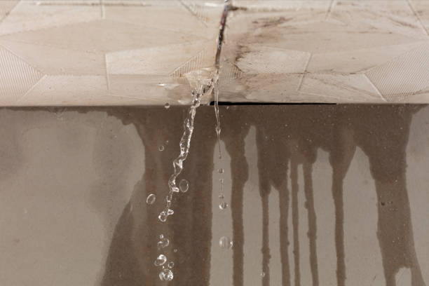 Professional Water Damage Repair technician working in Trenton, TX